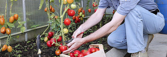 Garden Shop